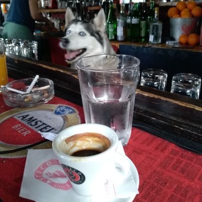 lemishroom's profile picture. 