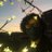 qaritsa's profile image