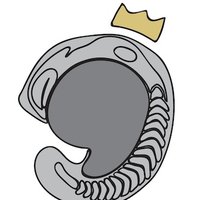 The Prince Lab (@princelab_uofc) 's Twitter Profile