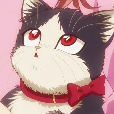 follow for more cute kitties in manga and anime!
✨dm is open for submissions and suggestions ^-^✨