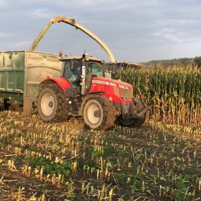 DCS Forage Solutions offer fantastic deals on a full range of Maize, Grass, Forage, Cereal & Environmental Seeds plus Silage Additives from top UK suppliers