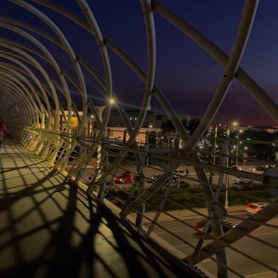 Xlili9i's profile picture. #medicalstudent 👩🏻‍⚕️.