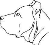 efrenmahoh's profile picture. Bardino anillao, carnavalero y rugbier. Me gustan todos los potajitos.  I hate burpees.