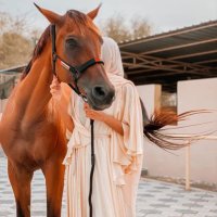 الرنيم (@rnem456) 's Twitter Profile
