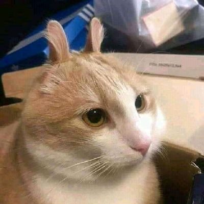 RizkyAkmj01's profile picture. ???