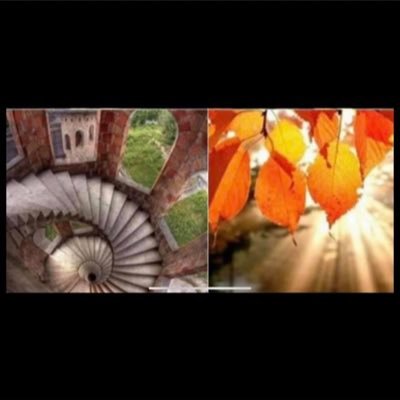 WidereCatherine's profile picture. energy research, aphasia, chemical engineer, vegan & I am is enemy trump because he is a conman & suffers from the Dunning Kruger effect
