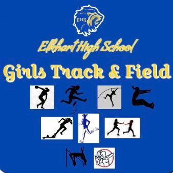 EHSLionsGTrack Profile Picture