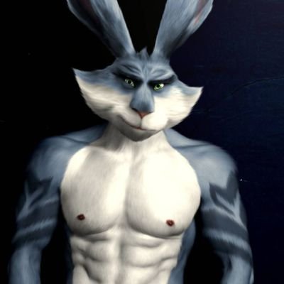 Bunnymundさんのプロフィール画像