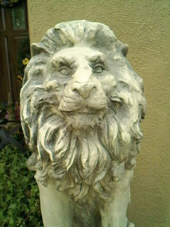 Meadowski20's profile picture. 