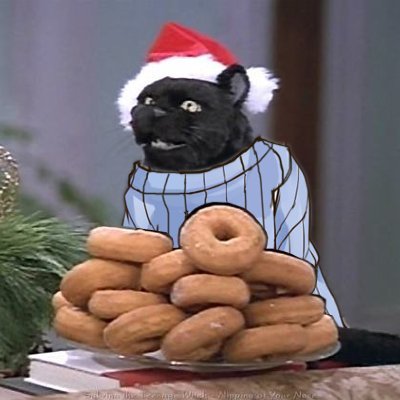 The cat who is made of donuts!