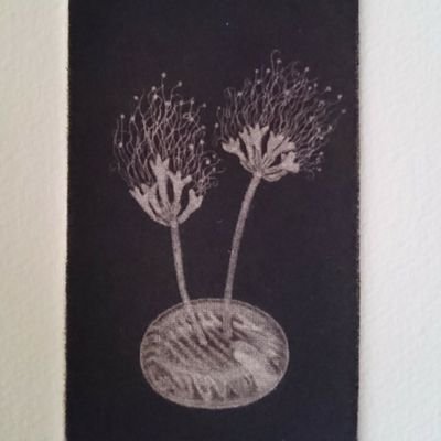 Printmaker/mezzotint＊woodcut…etc.
銅版画(メゾチント)・木版画など版画で密やかな夜を作ります🪐版画コラージュ🌙蔵書票📚

作品お問合せは👉倉敷・gallery björnさま★芦屋・月光百貨店さま→https://t.co/Wm7ulELHzm