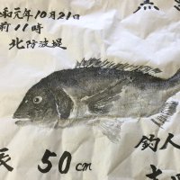 gereid (@1125shinichiro) 's Twitter Profile