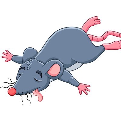 #Brooklyn / #NYC exterminator and Pest Control. We specialize in removing rats, mice, bed bugs and roaches. Call 718 469 9474
https://t.co/GVlGvcl1Cl