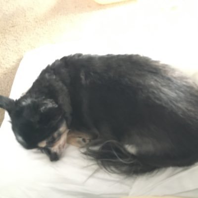 randomg18174271's profile picture. Just another guy