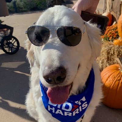 Fed up golden retriever Iiving in a red state. I bite racists, anti-vaxxers, anti-maskers and most Republicans.