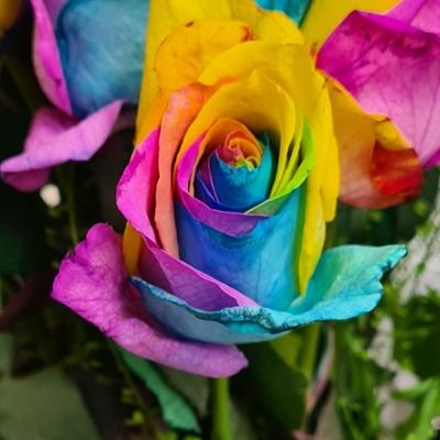 camilleruddle's profile picture. 