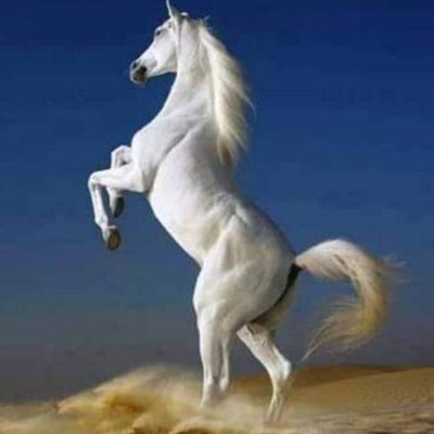 eIqVBos3g3SM7Na's profile picture. 