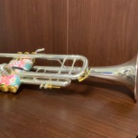 Yuta (@yta_wind717) 's Twitter Profile