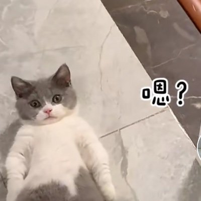 Mke95873635's profile picture. 