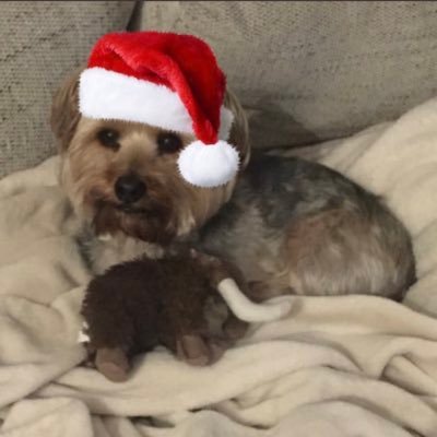 sethc34's profile picture. 