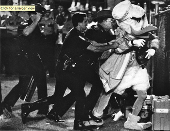 danny_p_123's profile picture. Find your ripple..