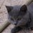fsenis's profile image