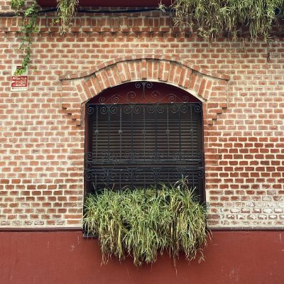 Protejamos los ecosistemas que viven en las ciudades 🌿🌳🌷🏙