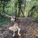 Ricki shaw - @Rickishaw20 - Twitter