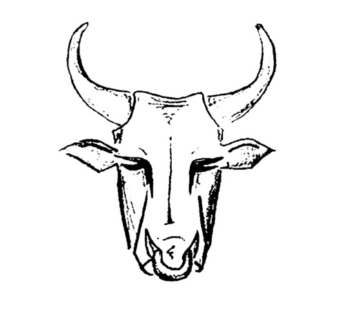 bullrunbar's profile picture. Espresso • Coffee • Sweets • Eats • Dinosaurs • Love