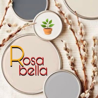 rosabella44's profile picture. متجر لبيع نباتات الظِل ، التفاصيل والأسعار في حسابنا في الانستقرام 📩🌸