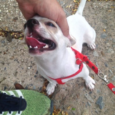 ColourfulVina's profile picture. 本垢が復活したんで戻ります