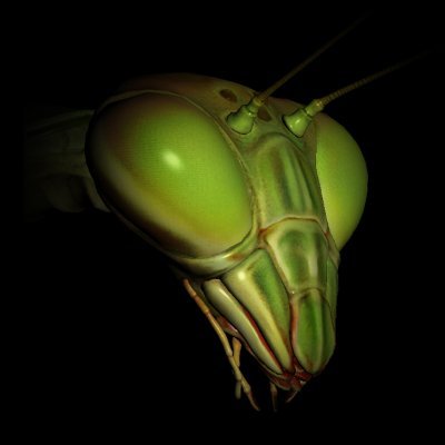 YABAI MANTIS VR on Steam