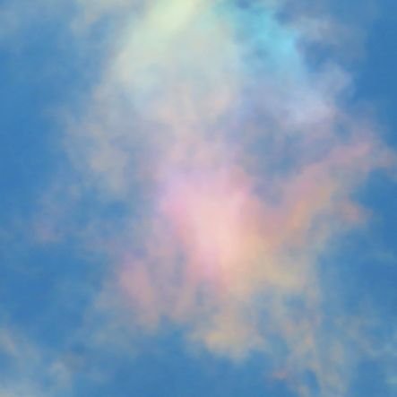 toto101117's profile picture. 