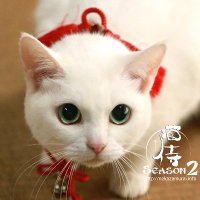 昼の三日月 (@tq1vmto4x2l7nbs) 's Twitter Profile