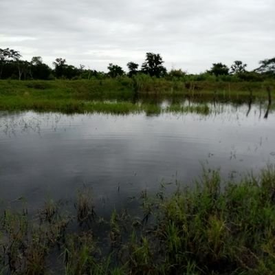 David88260998's profile picture. 