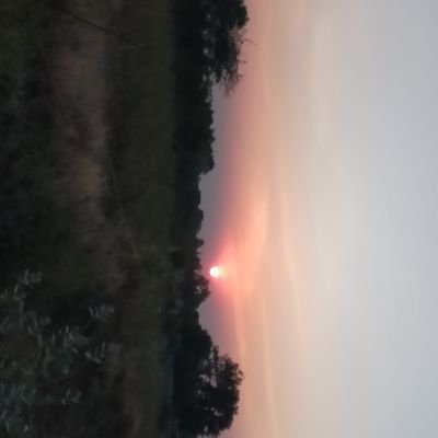 Bipin62952930's profile picture. YOUR EGO AND ATTITUDE OUT SIDE