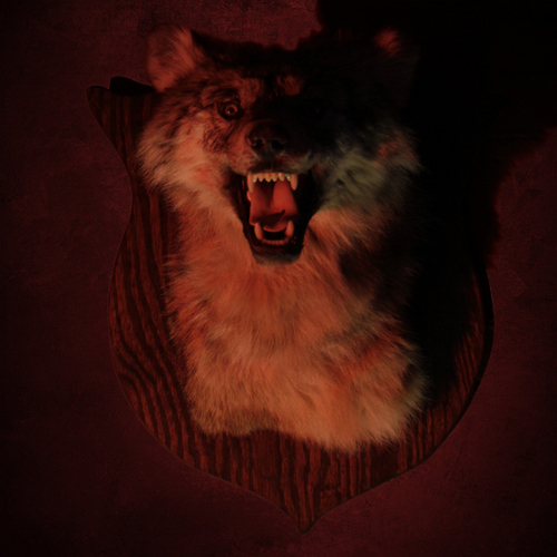 WolfHeadMovie's profile picture. A comedy feature film by @staplesx2 shot on HDSLR's | starring @thinkofacard & @tylerroberds