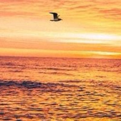 MBallaam2's profile picture. It will be epic to see the liberal tears flow