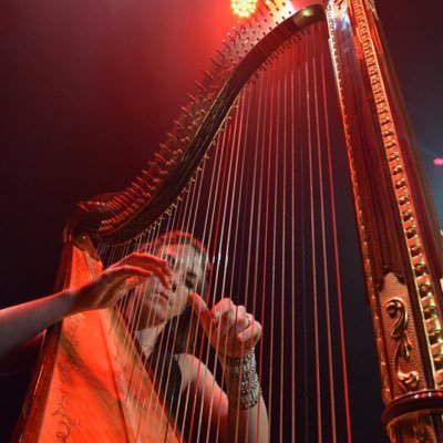 pursuitofharp's profile picture. Harpist Aisling Ennis :) Founder of Harp O’Clock Weekly Online Concerts Youtube Channel: https://t.co/v3OhylCKTX
