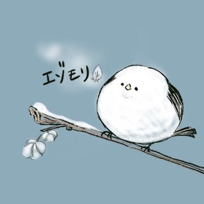 ezomori_'s profile picture. 30代アウトドア夫婦𖠋𖠋  赤ちゃん♂とポメラニアンuni君との4人暮らしฅᐡ•ﻌ•ᐡฅ 𓆸 夫（@takibi__coffee）は映像クリエイター𖣰 フォロー大歓迎です𓄃⸝⋆ #キャンプ