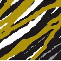 Solitario Resources Corp NYSE:XPL / TSX:SLR (@corpzinc) 's Twitter Profile Photo