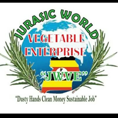 EmmanuelMuhang3's profile picture. Technical Director