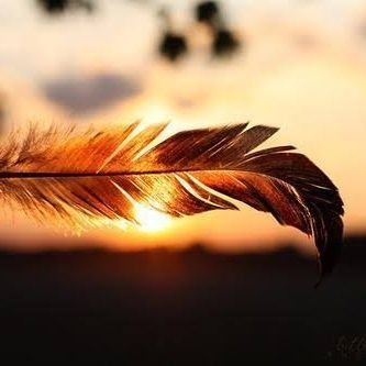 Zakkiyya_M's profile picture. 