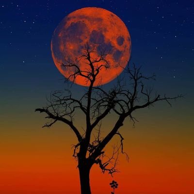 joanabad84's profile picture. 