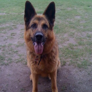 F1reman35's profile picture. 