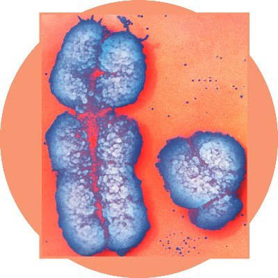 Page Lab Profile