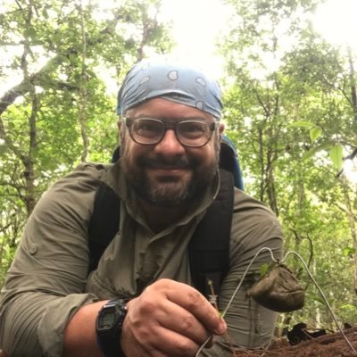 Community & Functional ecologist, Insects, Amazon Forest. Chair @BES_Tropical | @U_ElBosque - Associate Professor