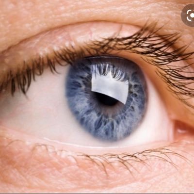 bvworldcorp's profile picture. 