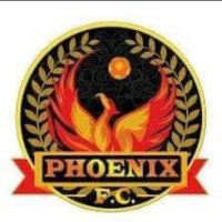 Phoenix Community Foundation(@phoenixcommun9) 's Twitter Profile Photo