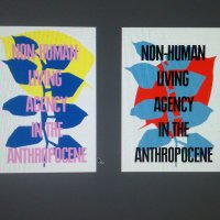catherine van olden (@catherineolden) 's Twitter Profile